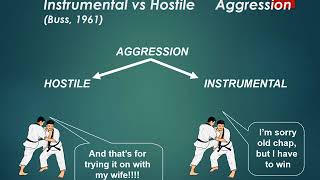 Aggression definitions and theories [upl. by Itsyrk]