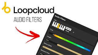 Audio Filters  Loopcloud 101 [upl. by Groark705]