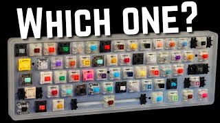 How to Choose the Perfect Switch For YOU [upl. by Opaline]