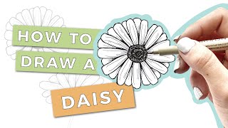 HOW TO DRAW A DAISY FLOWER StepByStep Tutorial [upl. by Ennasus]