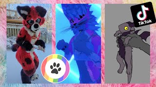 Furry TikToks Compilation 1 [upl. by Aixela]