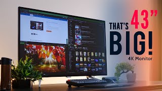 Mega 43 INCH 4K Monitor  All about the SIZE Philips 4K [upl. by Calendra748]