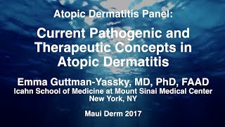 Atopic Dermatitis Pathogenesis [upl. by Akimrehs]