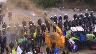 Raw Belgian Farmers Protest Low Milk Prices [upl. by Cohlier]