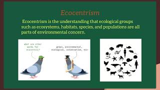 Environmental Ethics [upl. by Ycniuq641]