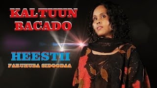 KALTUUN BACADO  FARUHUBA SIDOODA  OFFICIAL VIDEO [upl. by Aerdnak186]