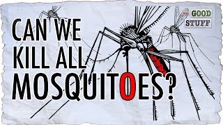 Should We Make Mosquitoes Extinct [upl. by Herrera]