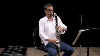 Instrument Bass Clarinet In Depth [upl. by Kcirederf]