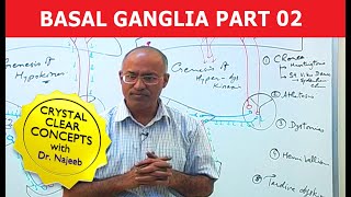 Basal Ganglia  Neuroanatomy  Part 23 [upl. by Wichern86]