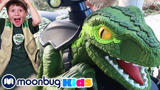 Dinosaur Green Raptor Ride  Jurassic Tv  Dinosaur Adventures for Kids [upl. by Eesak780]