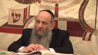 Is Anything in McDonalds Kosher  Ask the Rabbi Live with Rabbi Mintz [upl. by Nuawd]