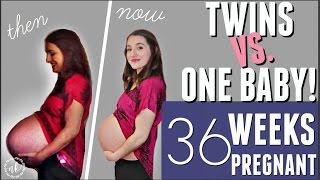 TWINS VS ONE BABY Comparing my Pregnancies  WEEK 36 UPDATE [upl. by Annadal]