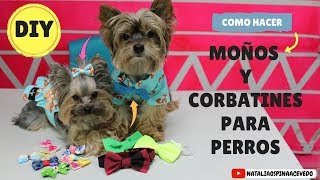 Como hacer moños y corbatines para perros  DIY Mascotas [upl. by Ednew]