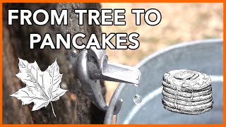 Making Maple Syrup at Home Start to Finish [upl. by Boru]