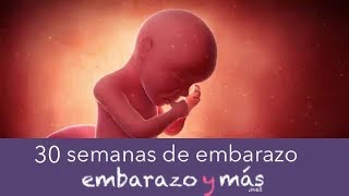 30 semanas de embarazo  Séptimo mes  EMBARAZOYMAS [upl. by Gerius739]