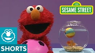 Sesame Street Play Ball  Elmos World [upl. by Aisined]