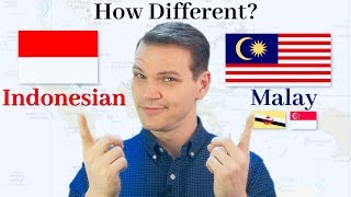 How Different Are Indonesian and Malay [upl. by Nailluj]