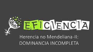 DOMINANCIA INCOMPLETA O INTERMEDIA Herencia no Mendeliana II [upl. by Rotberg]