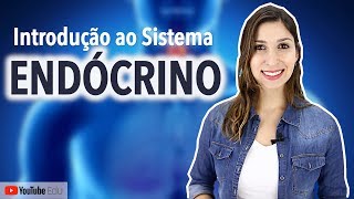 Sistema Endócrino Introdução  Anatomia e etc [upl. by Bethena]