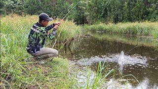 TAK DI SANGKA MANCING DI PARIT SEPERTI INI HASIL NYA MELIMPAH [upl. by Haidadej437]