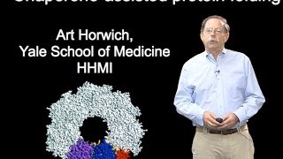 Arthur Horwich YaleHHMI Part 1B Chaperoneassisted protein folding [upl. by Attekram]