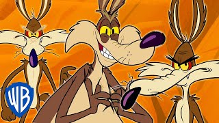 Looney Tunes  Wile E Coyote Genius Extraordinaire  30 Minutes [upl. by Alrzc]