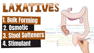 LAXATIVES What Are The Different Kinds of Laxatives When To Use Different Kinds of Laxatives [upl. by Tnert]