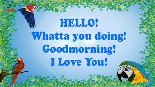 Teach your Parrot to say Hello Whatta you doing Goodmorning amp I Love you With 1 hour breaks [upl. by Ledah]