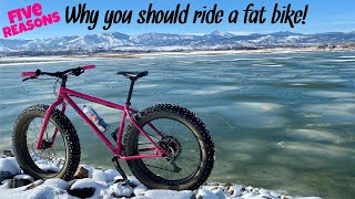 Five Reasons Why You Should Ride A Fat Bike  Top Five Reasons  fatbike [upl. by Terbecki]