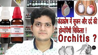 Orchitis  Homeopathic medicine for Orchitis  Explain [upl. by Nomelc]