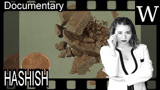 HASHISH  WikiVidi Documentary [upl. by Klehm]