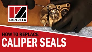 How to Replace Brake Caliper Seals  Brake Caliper Rebuild  Caliper Piston Seal Replacement [upl. by Hedvah984]