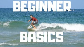 Learn How To Surf In 10 Minutes [upl. by Meehaf]