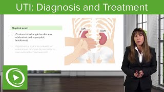 UTI Diagnosis and Treatment – Nephrology  Lecturio [upl. by Oiziruam]