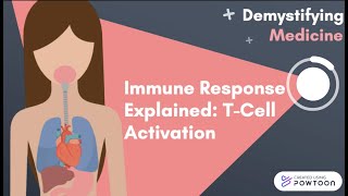 Immune Response Explained TCell Activation [upl. by Isnan]