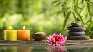 Relaxing Zen Music with Bamboo Water Sounds • Yoga Massages amp Mindfulness [upl. by Etnahsa]