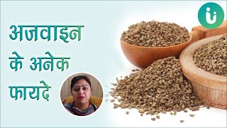 अजवाइन के अनेक फायदे  Ajwain ke faide [upl. by Singer]