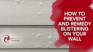 How to Prevent and Remedy Blistering on Your Wall  PaintDoctor Ep12 [upl. by Villada80]