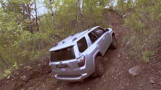 1 Year of Ownership Toyota 4Runner TRD Off Road Premium Review [upl. by Igic577]