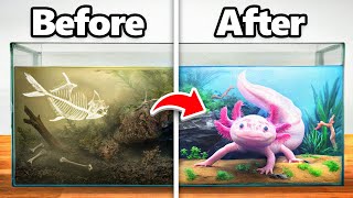 I Transformed an Abandoned Axolotl’s Home [upl. by Ehlke]