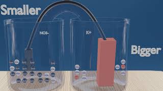 Galvanic cells explained in UNDER 5 MINUTES [upl. by Maker952]