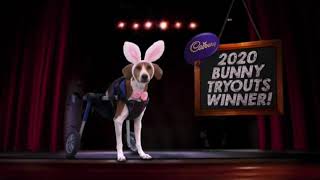 Cadbury  Bunny Auditions 2021 USA Variant [upl. by Docia]