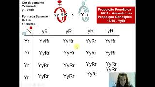 Genética Mendeliana  Cruzamento Diíbrido  Parte 1 [upl. by Erodaeht154]