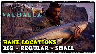 Assassins Creed Valhalla Hake Fish Locations Big  Regular  Small [upl. by Nidorf]