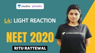 L4 Light Reaction  Photosynthesis Complete NCERT Review  Target NEET 2020 [upl. by Faria631]