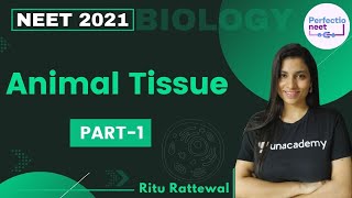 Animal Tissue  Part 1  NEET 2021  NEET Biology  Ritu Rattewal [upl. by Acirrej]