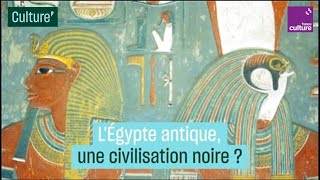 LÉgypte antique une civilisation noire  La thèse controversée de Cheikh Anta Diop [upl. by Atiekahs]