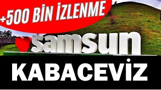 Samsun Kabaceviz Halay  Oyun Havası [upl. by Nira]