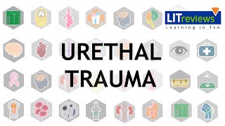 Urethral Trauma [upl. by Adile]