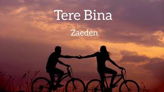 Tere Bina Zaeden Lyrics video [upl. by Kruter498]